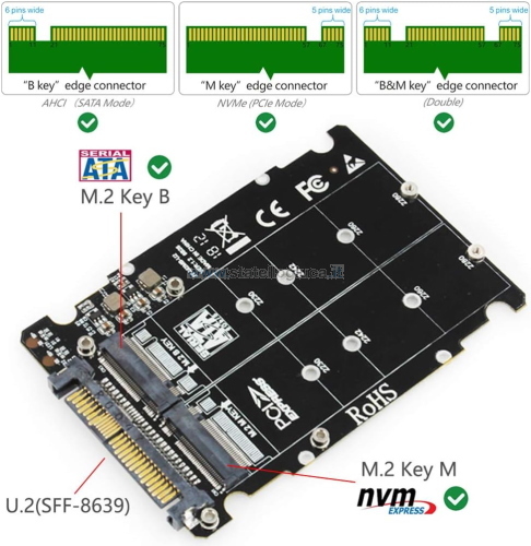 Adattatore M.2 SSD a U.2 2 in 1 M.2 NVMe SATA-Bus NGFF SSD a PCI-e U.2 SFF-8639 Convertitore adattatore PCIe M2 per PC desktop